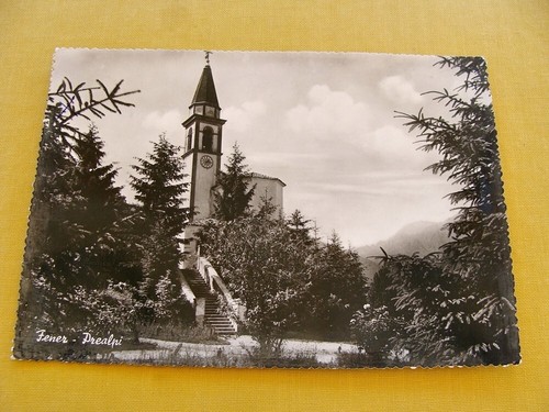 Fener alano di - alano,