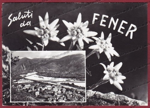 Belluno alano piave 04 - belluno,
